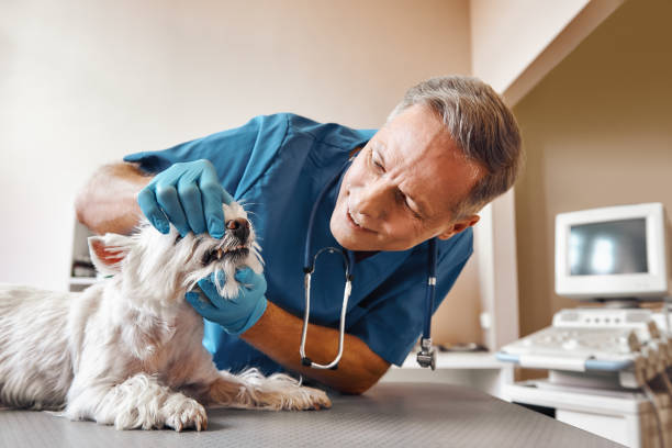 Best Walk-In Emergency Dentist in La Porte, TX